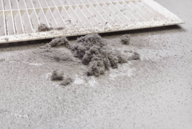 Best Air Vent Cleaning Services  in Headland, AL