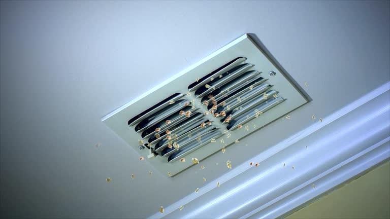 Best Best Air Duct Cleaning Company  in Headland, AL