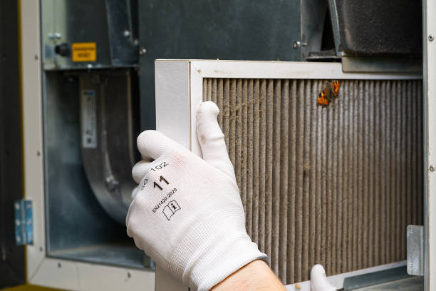 Best Home Air Vent Cleaning  in Headland, AL