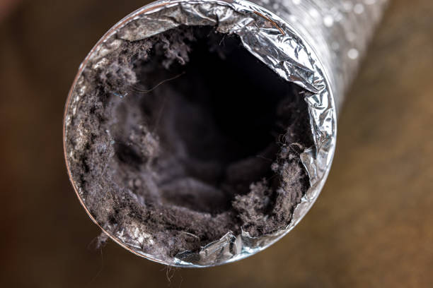 Best HVAC Air Duct Cleaning  in Headland, AL