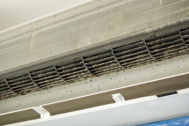 Best Air Duct Inspection  in Headland, AL